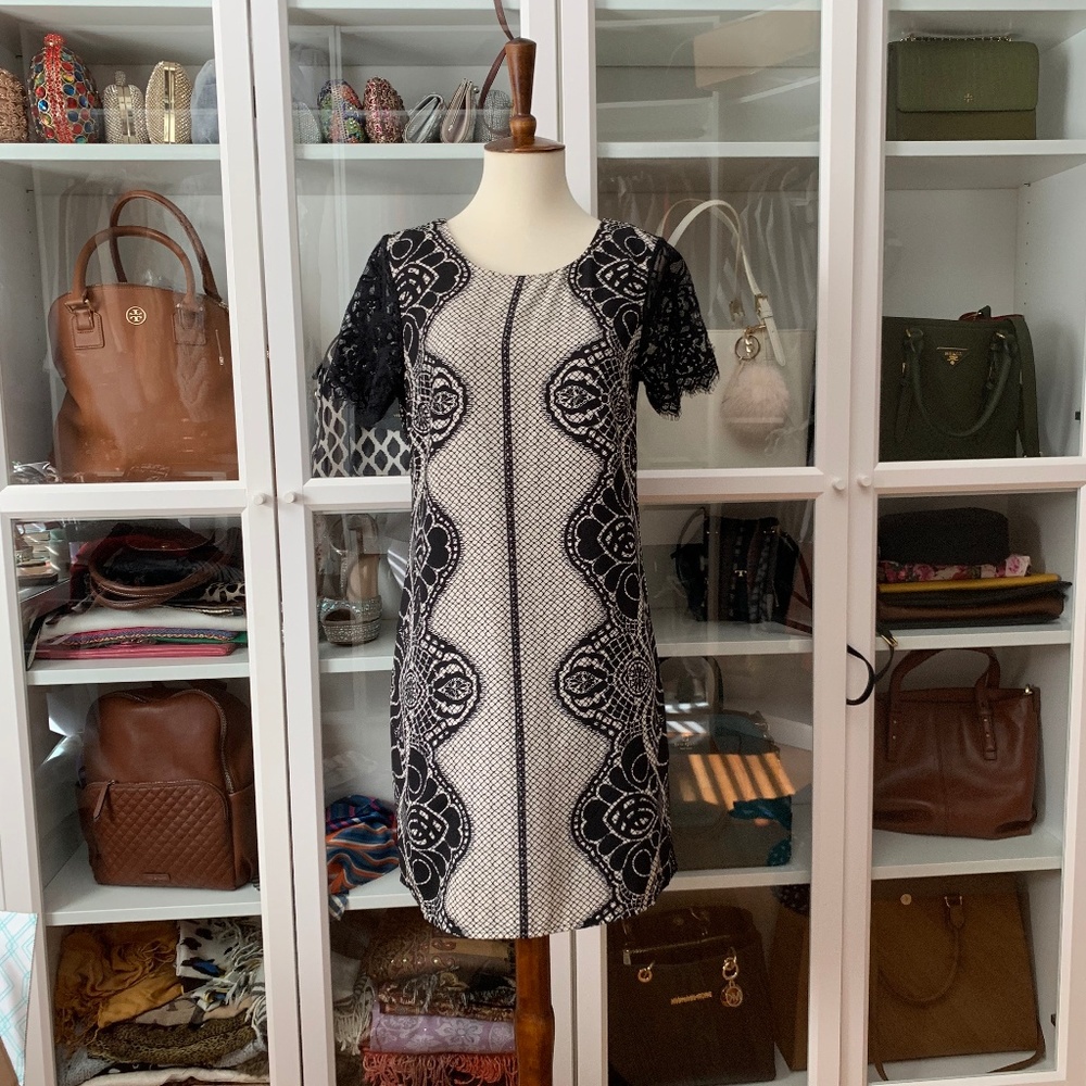 Short Sleeve Black Lace Shift Dress